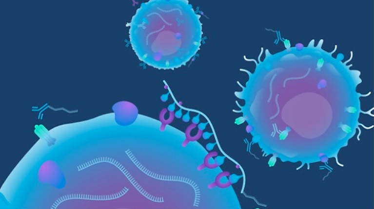 Immune Support