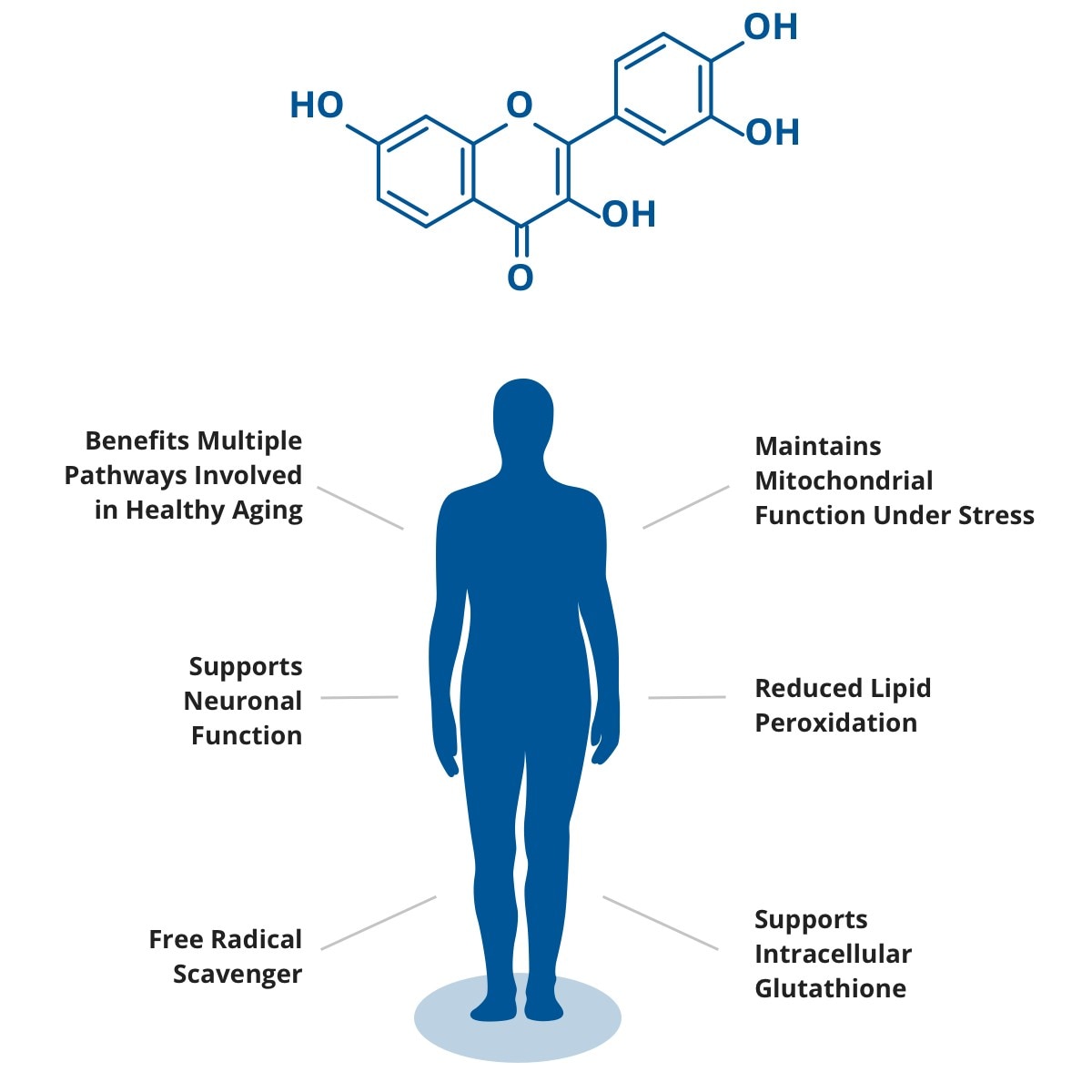 Nueroprotective Effects of Fisetin